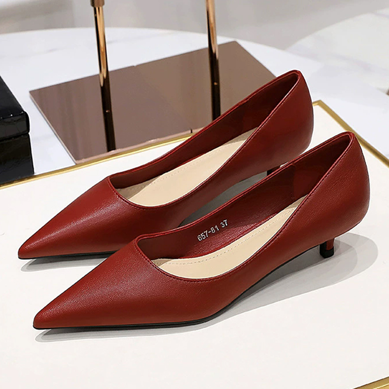 Fashion Pointed Toe Mid Heeled - огляд і ціна Women'S Shoes Big Feet