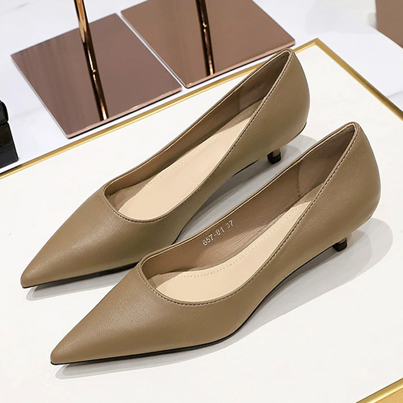 Fashion Pointed Toe Mid Heeled - огляд і ціна Women'S Shoes Big Feet